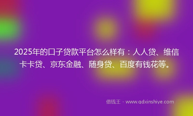 2025年的口子贷款平台怎么样有：人人贷、维信卡卡贷、京东金融、随身贷、百度有钱花等。