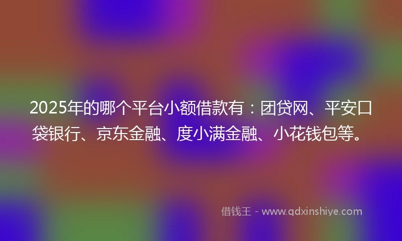 2025年的哪个平台小额借款有：团贷网、平安口袋银行、京东金融、度小满金融、小花钱包等。