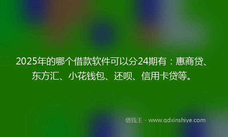 2025年的哪个借款软件可以分24期有：惠商贷、东方汇、小花钱包、还呗、信用卡贷等。