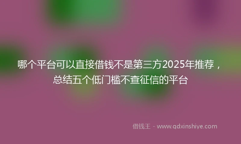 哪个平台可以直接借钱不是第三方2025年推荐，总结五个低门槛不查征信的平台