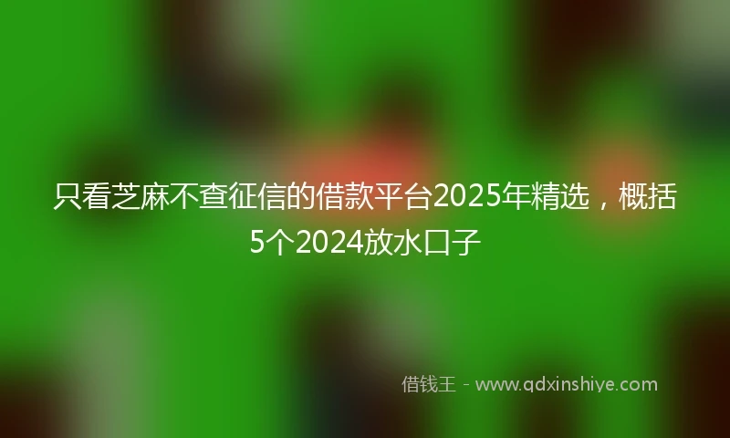 只看芝麻不查征信的借款平台2025年精选，概括5个2024放水口子