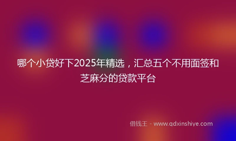 哪个小贷好下2025年精选，汇总五个不用面签和芝麻分的贷款平台