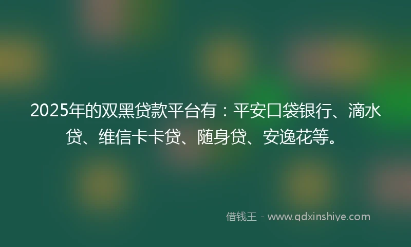 2025年的双黑贷款平台有：平安口袋银行、滴水贷、维信卡卡贷、随身贷、安逸花等。