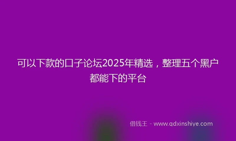可以下款的口子论坛2025年精选,整理五个黑户都能下的平台