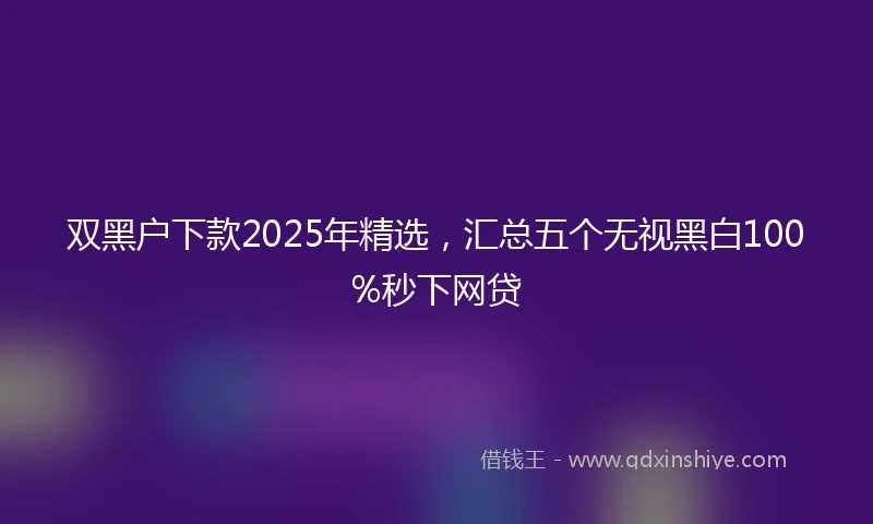 双黑户下款2025年精选,汇总五个无视黑白100%秒下网贷