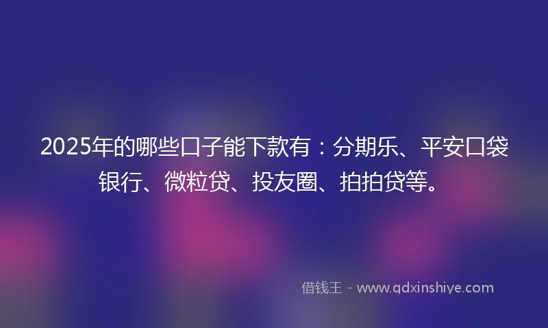 2025年的哪些口子能下款有：分期乐、平安口袋银行、微粒贷、投友圈、拍拍贷等。