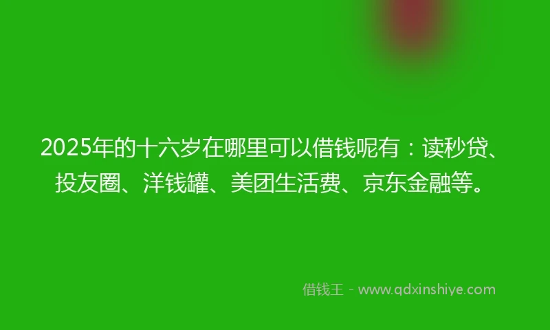 2025年的十六岁在哪里可以借钱呢有:读秒贷、投友圈、洋钱罐、美团生活费、京东金融等。