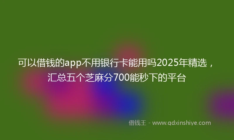 可以借钱的app不用银行卡能用吗2025年精选,汇总五个芝麻分700能秒下的平台
