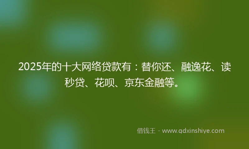 2025年的十大网络贷款有：替你还、融逸花、读秒贷、花呗、京东金融等。