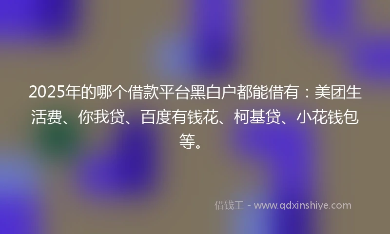 2025年的哪个借款平台黑白户都能借有：美团生活费、你我贷、百度有钱花、柯基贷、小花钱包等。