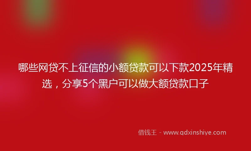 哪些网贷不上征信的小额贷款可以下款2025年精选，分享5个黑户可以做大额贷款口子