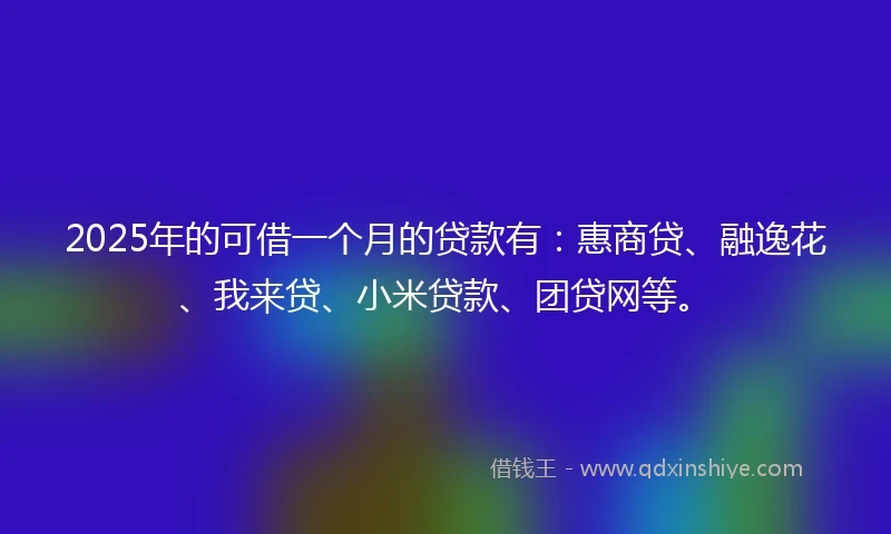 2025年的可借一个月的贷款有：惠商贷、融逸花、我来贷、小米贷款、团贷网等。
