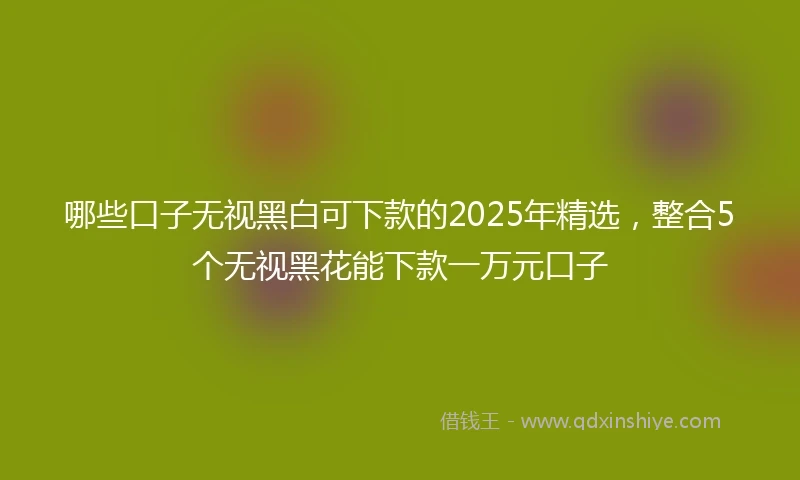 哪些口子无视黑白可下款的2025年精选，整合5个无视黑花能下款一万元口子
