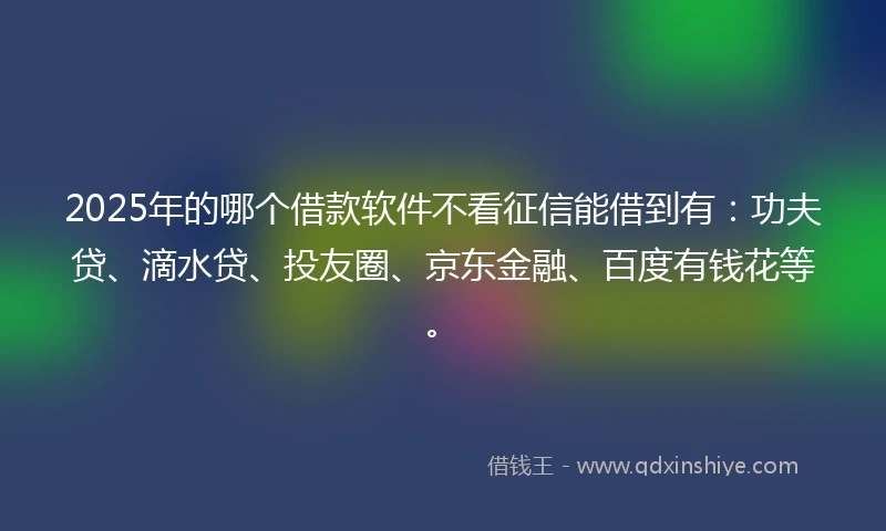 2025年的哪个借款软件不看征信能借到有：功夫贷、滴水贷、投友圈、京东金融、百度有钱花等。