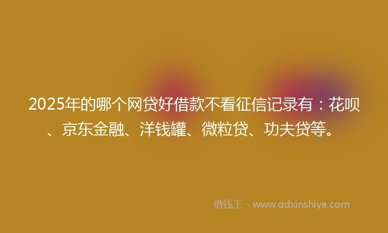 2025年的哪个网贷好借款不看征信记录有：花呗、京东金融、洋钱罐、微粒贷、功夫贷等。