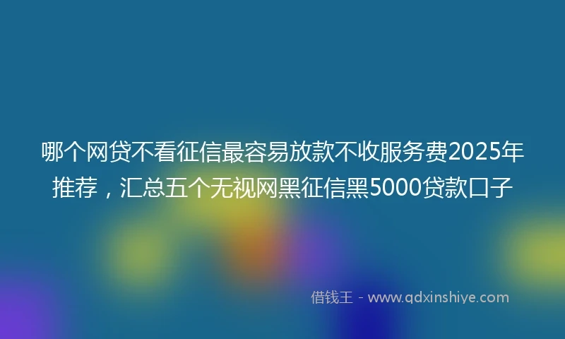 哪个网贷不看征信最容易放款不收服务费2025年推荐，汇总五个无视网黑征信黑5000贷款口子