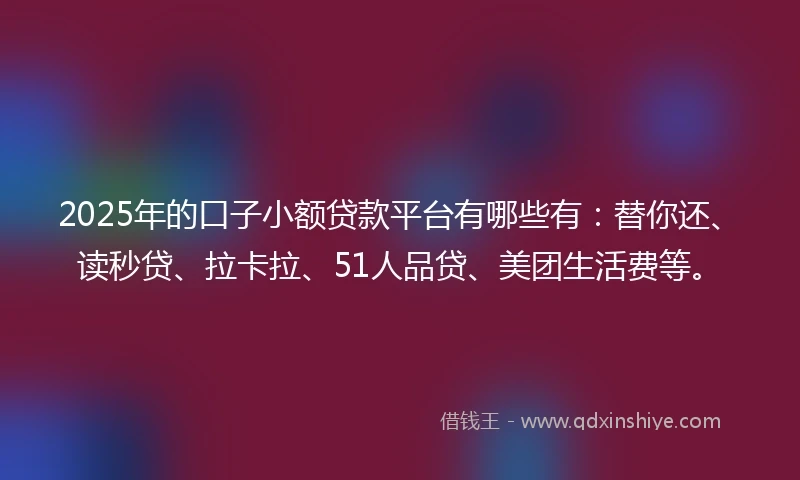 2025年的口子小额贷款平台有哪些有：替你还、读秒贷、拉卡拉、51人品贷、美团生活费等。
