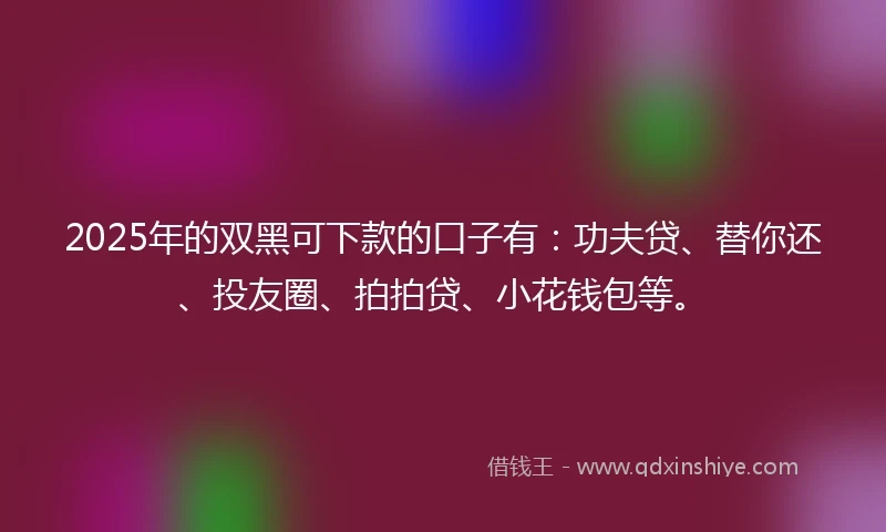 2025年的双黑可下款的口子有：功夫贷、替你还、投友圈、拍拍贷、小花钱包等。