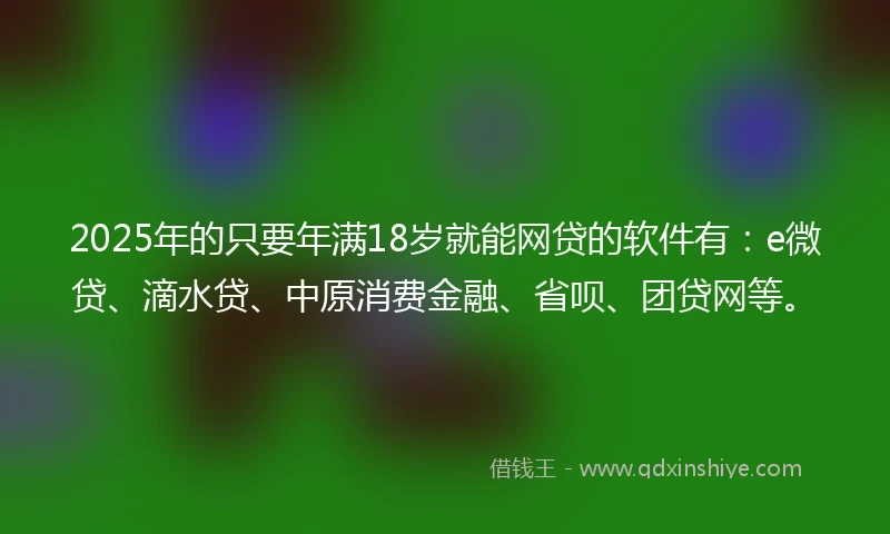 2025年的只要年满18岁就能网贷的软件有：e微贷、滴水贷、中原消费金融、省呗、团贷网等。