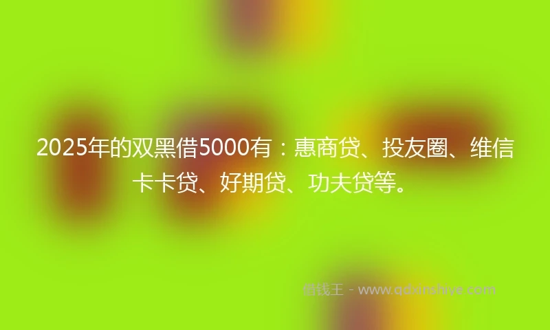 2025年的双黑借5000有：惠商贷、投友圈、维信卡卡贷、好期贷、功夫贷等。