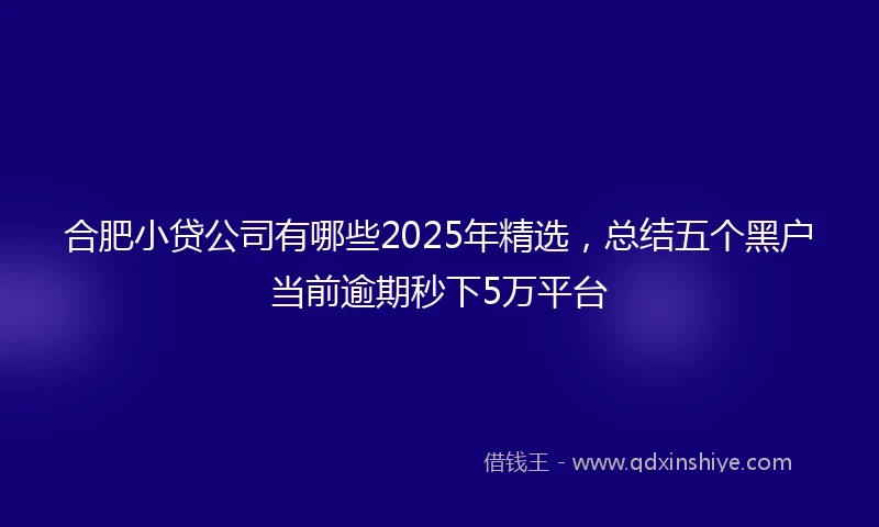 合肥小贷公司有哪些2025年精选，总结五个黑户当前逾期秒下5万平台