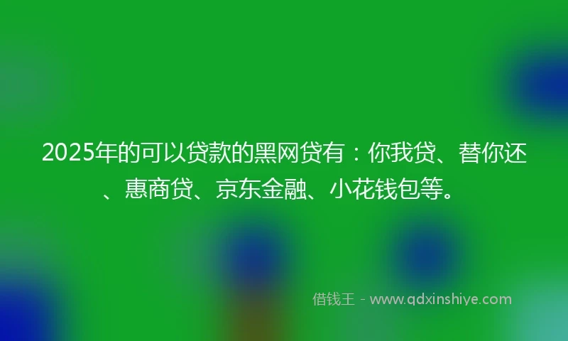 2025年的可以贷款的黑网贷有：你我贷、替你还、惠商贷、京东金融、小花钱包等。