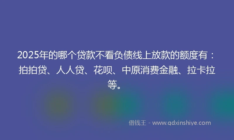2025年的哪个贷款不看负债线上放款的额度有：拍拍贷、人人贷、花呗、中原消费金融、拉卡拉等。