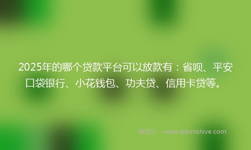 2025年的哪个贷款平台可以放款有:省呗、平安口袋银行、小花钱包、功夫贷、信用卡贷等。