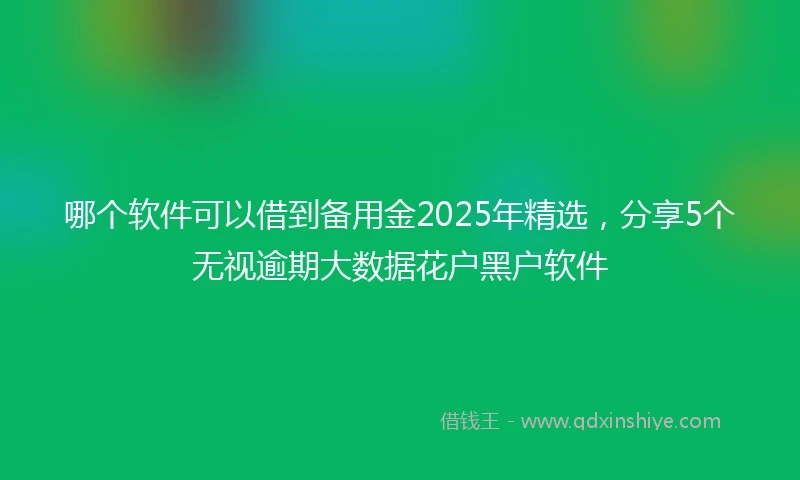 哪个软件可以借到备用金2025年精选，分享5个无视逾期大数据花户黑户软件