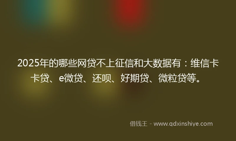 2025年的哪些网贷不上征信和大数据有：维信卡卡贷、e微贷、还呗、好期贷、微粒贷等。