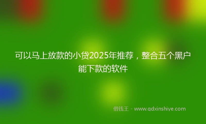可以马上放款的小贷2025年推荐，整合五个黑户能下款的软件
