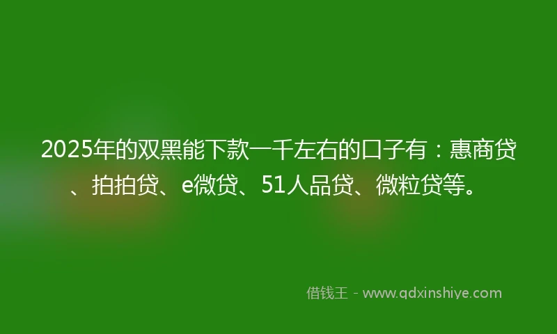 2025年的双黑能下款一千左右的口子有：惠商贷、拍拍贷、e微贷、51人品贷、微粒贷等。