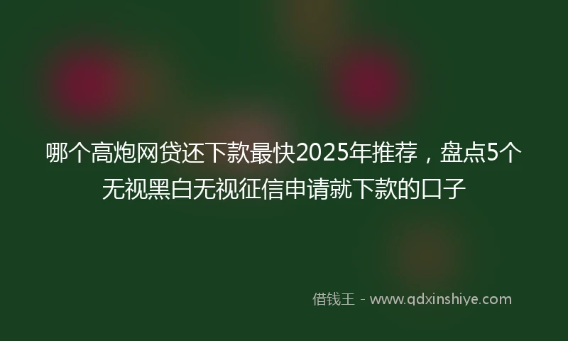 哪个高炮网贷还下款最快2025年推荐，盘点5个无视黑白无视征信申请就下款的口子