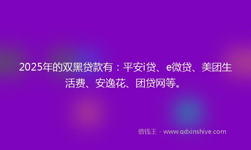 2025年的双黑贷款有：平安i贷、e微贷、美团生活费、安逸花、团贷网等。