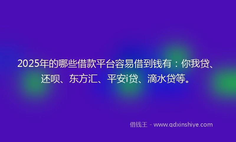 2025年的哪些借款平台容易借到钱有：你我贷、还呗、东方汇、平安i贷、滴水贷等。
