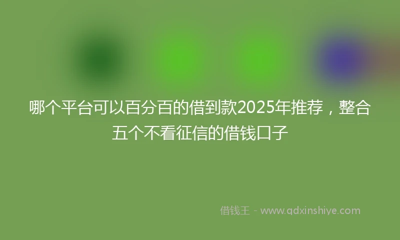 哪个平台可以百分百的借到款2025年推荐，整合五个不看征信的借钱口子