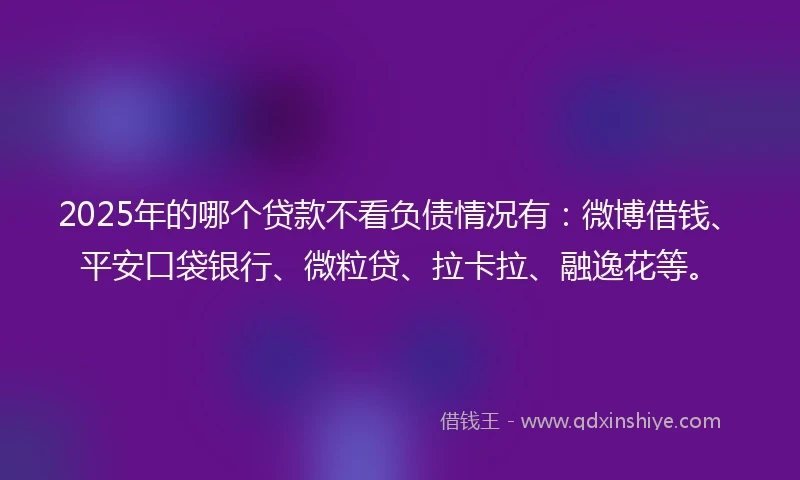 2025年的哪个贷款不看负债情况有：微博借钱、平安口袋银行、微粒贷、拉卡拉、融逸花等。