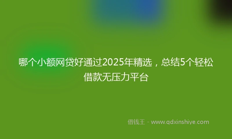 哪个小额网贷好通过2025年精选，总结5个轻松借款无压力平台