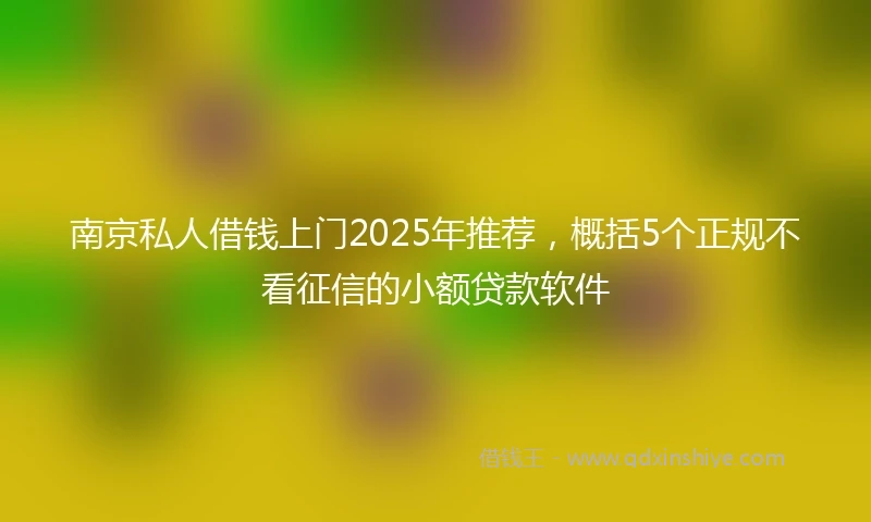 南京私人借钱上门2025年推荐，概括5个正规不看征信的小额贷款软件