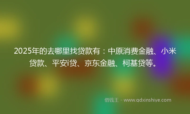2025年的去哪里找贷款有：中原消费金融、小米贷款、平安i贷、京东金融、柯基贷等。