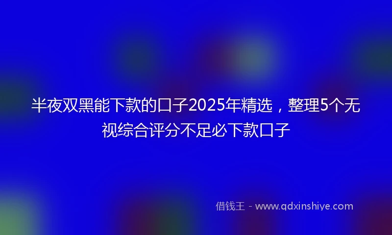 半夜双黑能下款的口子2025年精选，整理5个无视综合评分不足必下款口子
