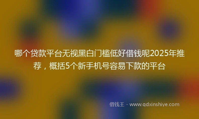 哪个贷款平台无视黑白门槛低好借钱呢2025年推荐，概括5个新手机号容易下款的平台