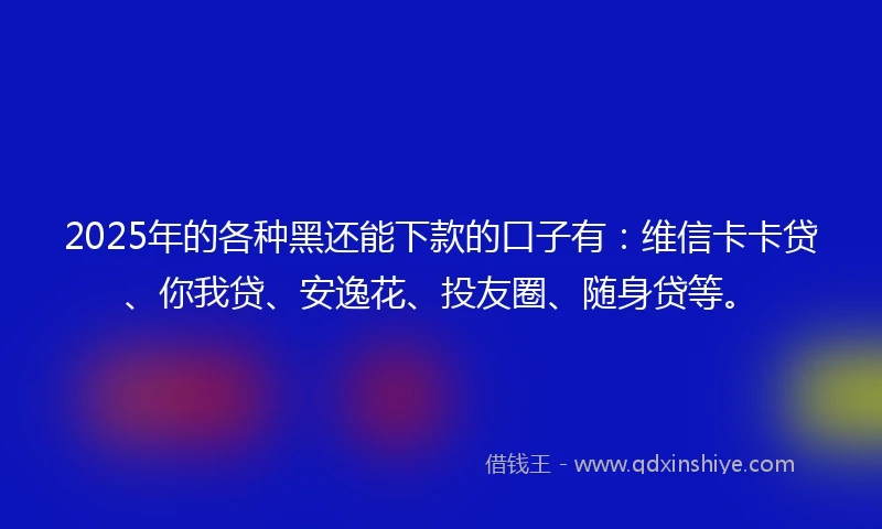 2025年的各种黑还能下款的口子有：维信卡卡贷、你我贷、安逸花、投友圈、随身贷等。