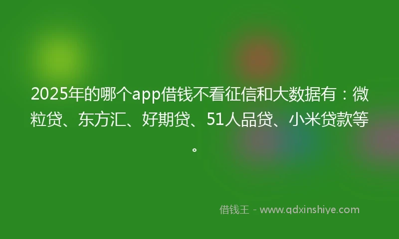 2025年的哪个app借钱不看征信和大数据有：微粒贷、东方汇、好期贷、51人品贷、小米贷款等。