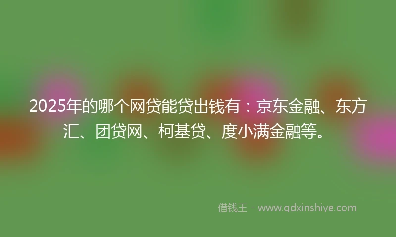 2025年的哪个网贷能贷出钱有：京东金融、东方汇、团贷网、柯基贷、度小满金融等。