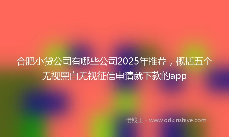 合肥小贷公司有哪些公司2025年推荐，概括五个无视黑白无视征信申请就下款的app