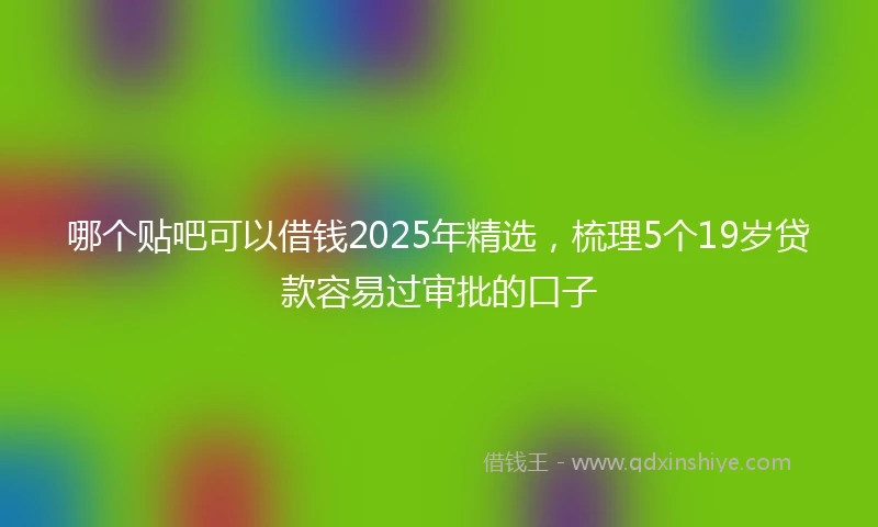 哪个贴吧可以借钱2025年精选，梳理5个19岁贷款容易过审批的口子