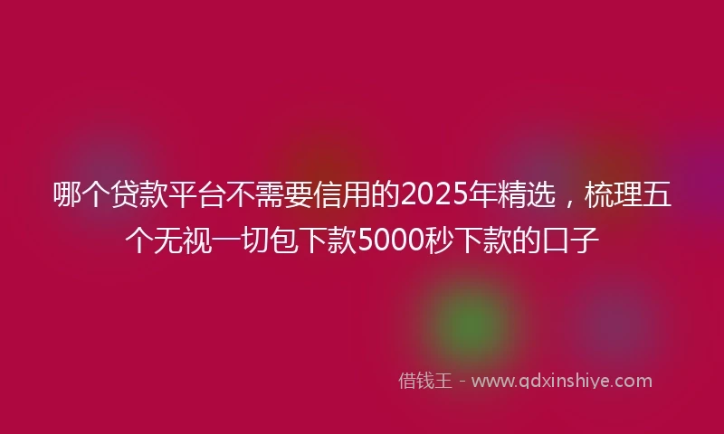 哪个贷款平台不需要信用的2025年精选，梳理五个无视一切包下款5000秒下款的口子