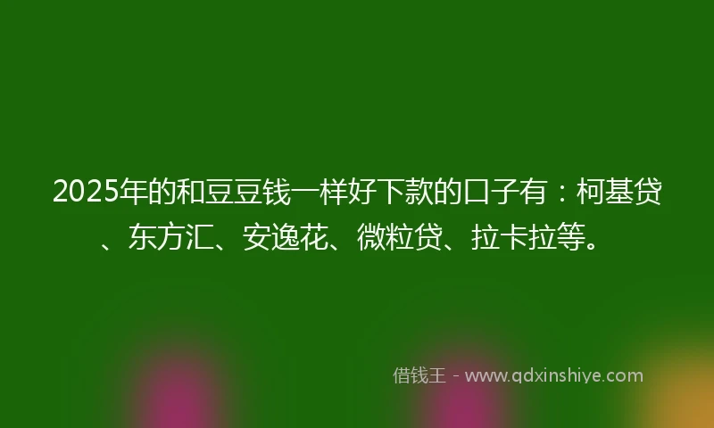 2025年的和豆豆钱一样好下款的口子有：柯基贷、东方汇、安逸花、微粒贷、拉卡拉等。