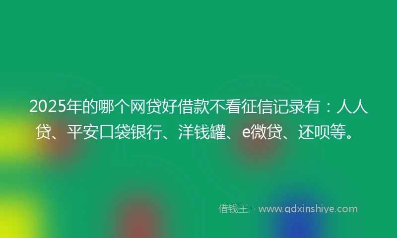 2025年的哪个网贷好借款不看征信记录有：人人贷、平安口袋银行、洋钱罐、e微贷、还呗等。